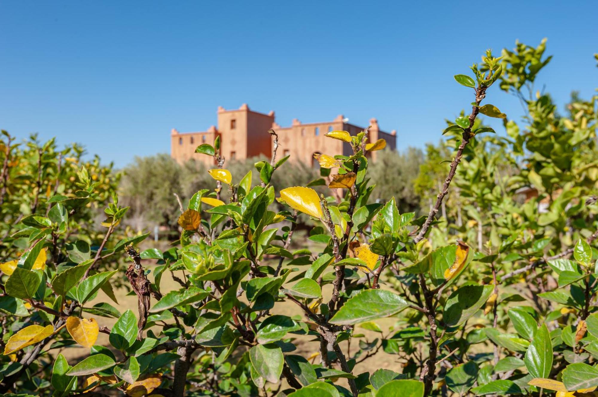 فيلا Ferme Sidi Safou & Spa مراكش المظهر الخارجي الصورة